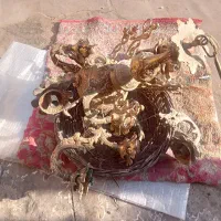 لوستر ۱۲ شعله