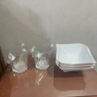 ظروف پذیرایی