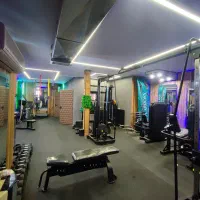 استخدام مربی