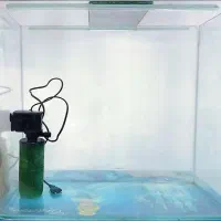 اکواریوم شیشه خم