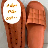 کفش و کتونی|کیف، کفش، کمربند|قم, باجک دو|دیوار