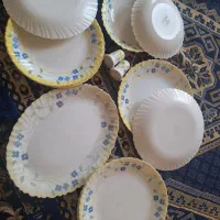 آرکوپال پنسی|ظروف سرو و پذیرایی|خمینیشهر, |دیوار