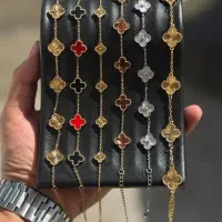 اکسسوری ، بدلیجات