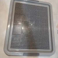 تعدادی وسیله سگ|لوازم جانبی حیوانات|رفسنجان, |دیوار