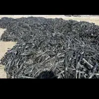 خریدار نوار تیپ