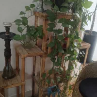 استند چوبی برا گل و گیاه