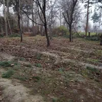 فروش باغ ویلا فیروزبهرام ۲۴۰۰ متر|فروش زمین و ملک کلنگی|چهاردانگه (تهران), |دیوار