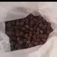 حراج خورشتی آفتابی