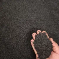 بذر پیاز مینروا آرژانتینی تضمینی|گل و گیاه طبیعی|جیرفت, |دیوار