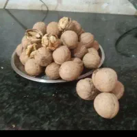 گردو