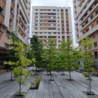 زوج اتباع  با خانواده امین خوش برخورد