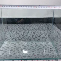 آکواریوم شیشه خم