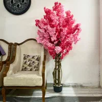 درختچه های مصنوعی وارداتی|گل مصنوعی|لاهیجان, رجایی|دیوار