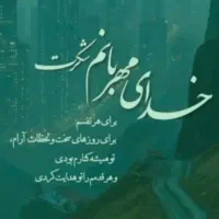 کارت خودرو 24ص681