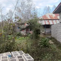 فروش زمین باغی خانه کلنگی در اباتر،نزدیک جاده اصلی