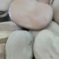باقله