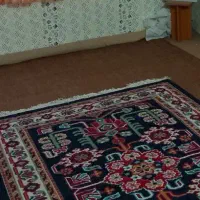 چند فرش یک طرح|فرش|مشهد, الهیه|دیوار