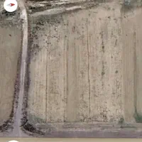 زمین جاده مغان