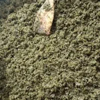 سبزی سرخ شده