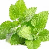 سرمایه مالی وهمکاری