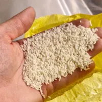 برنج خوشپخت...بشرط