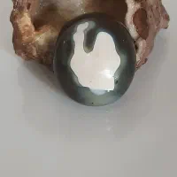 نگین سلطانی (مصور)