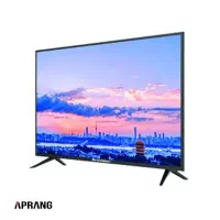 تولوزیون ۵۵ پرو ویژن پلن الجی