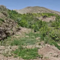 باغ در خرونیشابور|فروش زمین و ملک کلنگی|مشهد, طبرسی شمالی|دیوار
