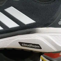 کفش|کیف، کفش، کمربند|دوگنبدان, |دیوار