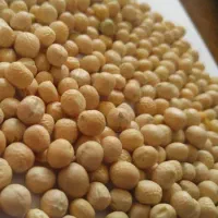 نخود115000|حراج|قروه, |دیوار