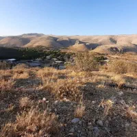 فروش باغ گردویی