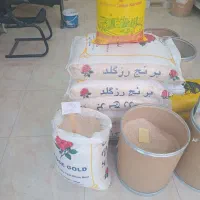 بورس برنج قائیدی