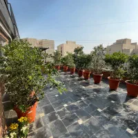 مشارکت نیاز به سازنده