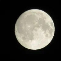 دوربین کامپکت سوپر زوم کنون Canon sx600hs