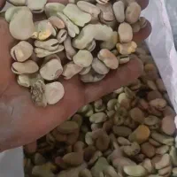 باقالی درجه یک|عمده‌فروشی|اهواز, فتح|دیوار