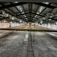 مرغداری گوشتی|استخدام صنعتی، فنی، مهندسی|اردبیل, |دیوار