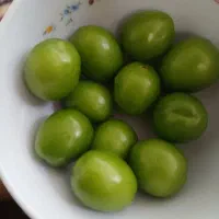 الوچه کرجی درجه یک مهریز