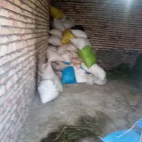 نون خشک پونصد کیلو