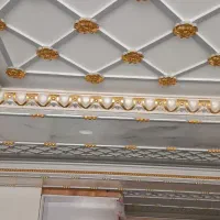 نقاش ساختمان. نقاشی. حرفه ای