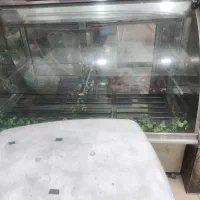 یخچال و فر فلافل
