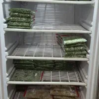 فریزرتک درب ویترینی|فروشگاه و مغازه|لنگرود, |دیوار