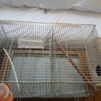 قفس حرفه ای با لونه و جا آبی و جا دونه