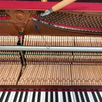 خرید و فروش و کوک و تعمیر پیانو آکوستیک