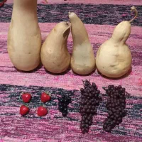 کدو خشک شده طبیعی و میوه مصنوعی|صنایع دستی و سایر لوازم تزئینی|ری, دیلمان|دیوار