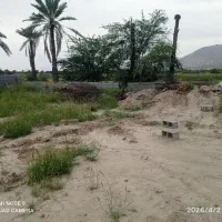 فروش-زمین-کشاورزی