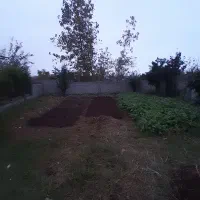 زمین مسکونی کریم محله|فروش زمین و ملک کلنگی|تالش, جوکندان|دیوار