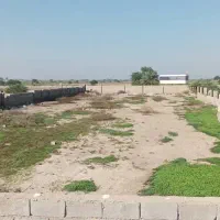 3000 متر زمین باغ ویلا