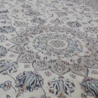 فرش   کاشان   کرم  دستباف|فرش|تهران, شکوفه (عبدل آباد)|دیوار
