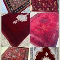 فرش یاقوت سرخ|فرش|شیراز, بریجستون|دیوار