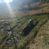 500متر زمین در روستای خوش اب وهوای گوغر|فروش زمین و ملک کلنگی|بافت, |دیوار